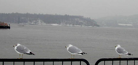 Constitution Island from Cold Spring